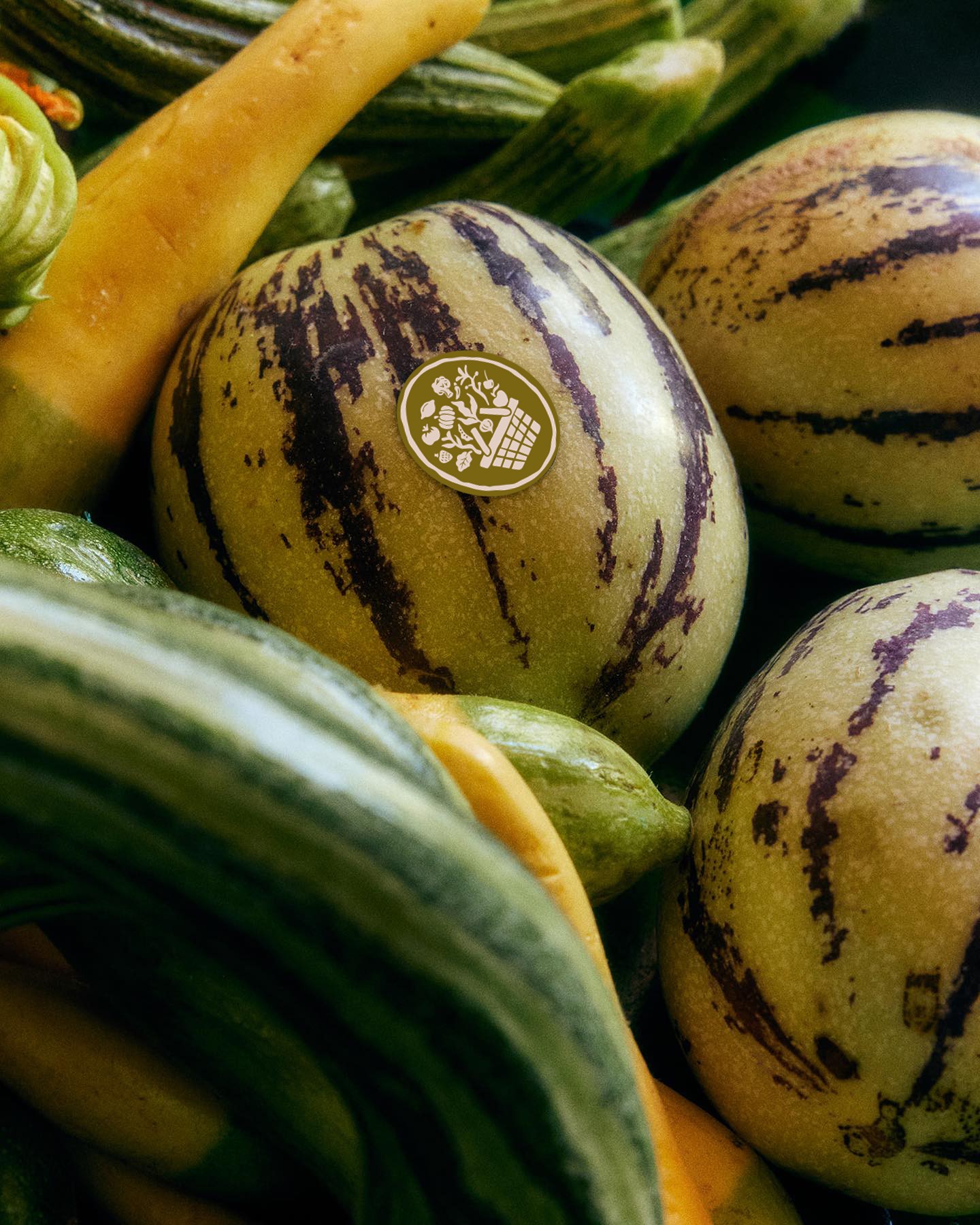 Typography outline in Rethink Sans

