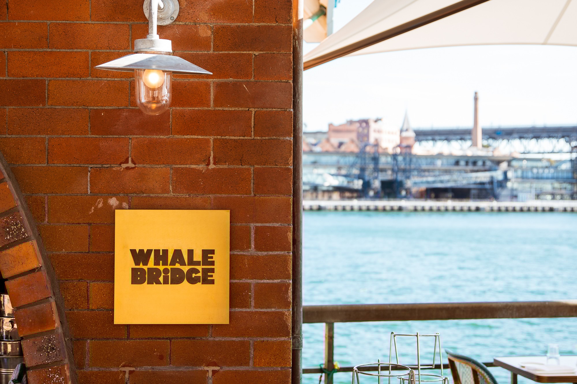 Typography outline in Hedvig Letters Serif
