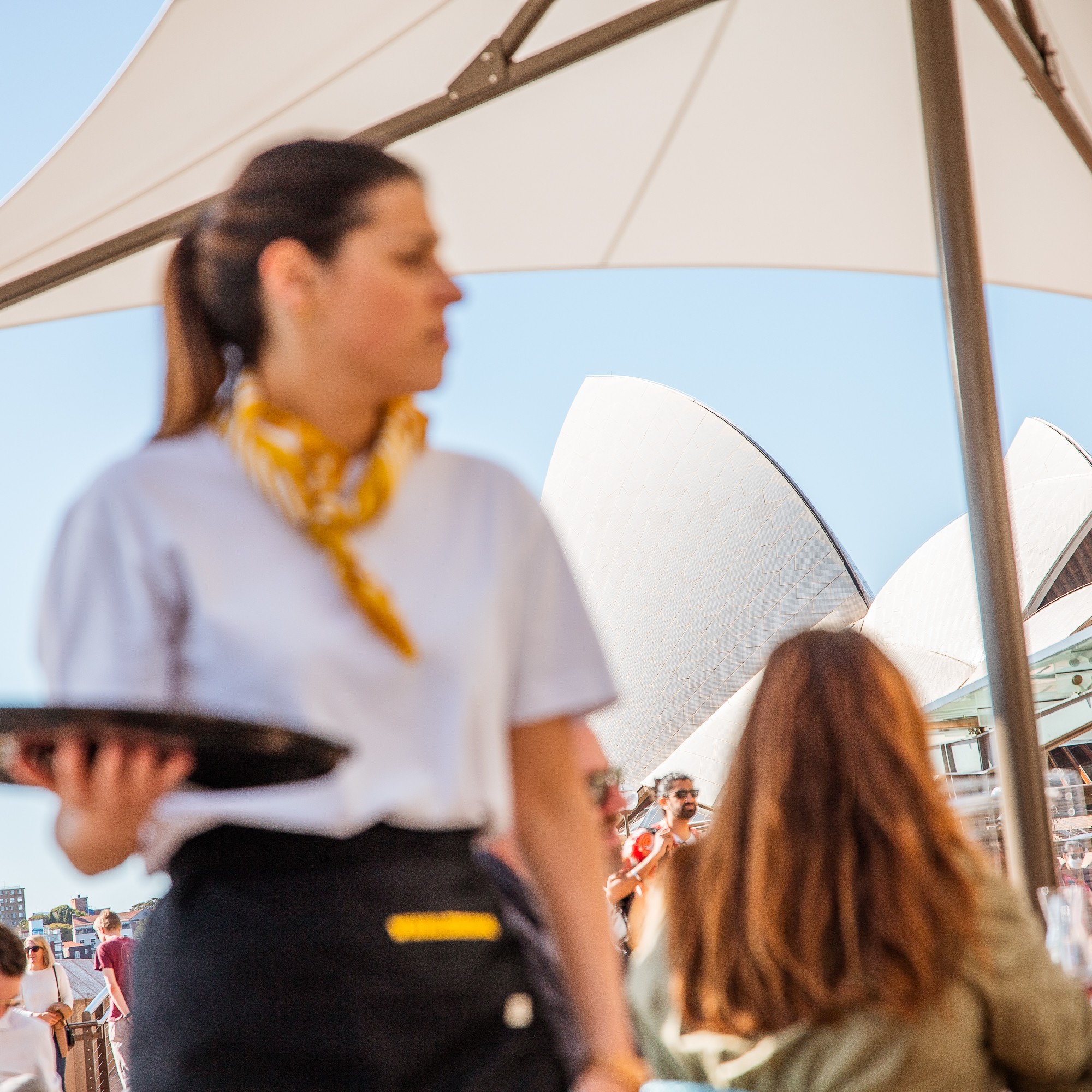 Typography outline in Hedvig Letters Serif
