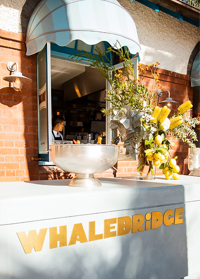 Typography outline in Hedvig Letters Serif
