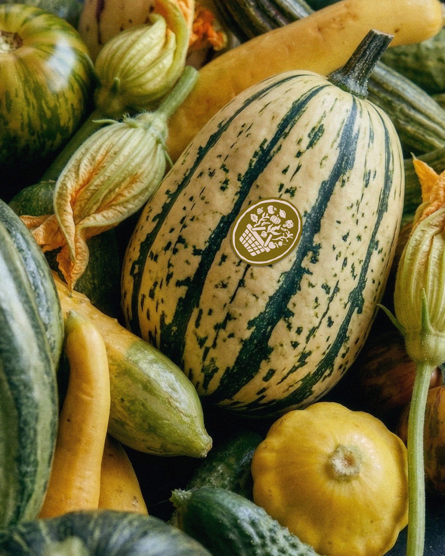 Typography outline in Rethink Sans

